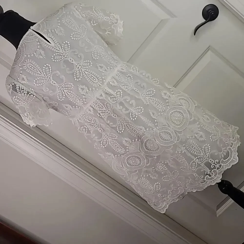 SHEIN sz S embroidered sheer dress with full lining